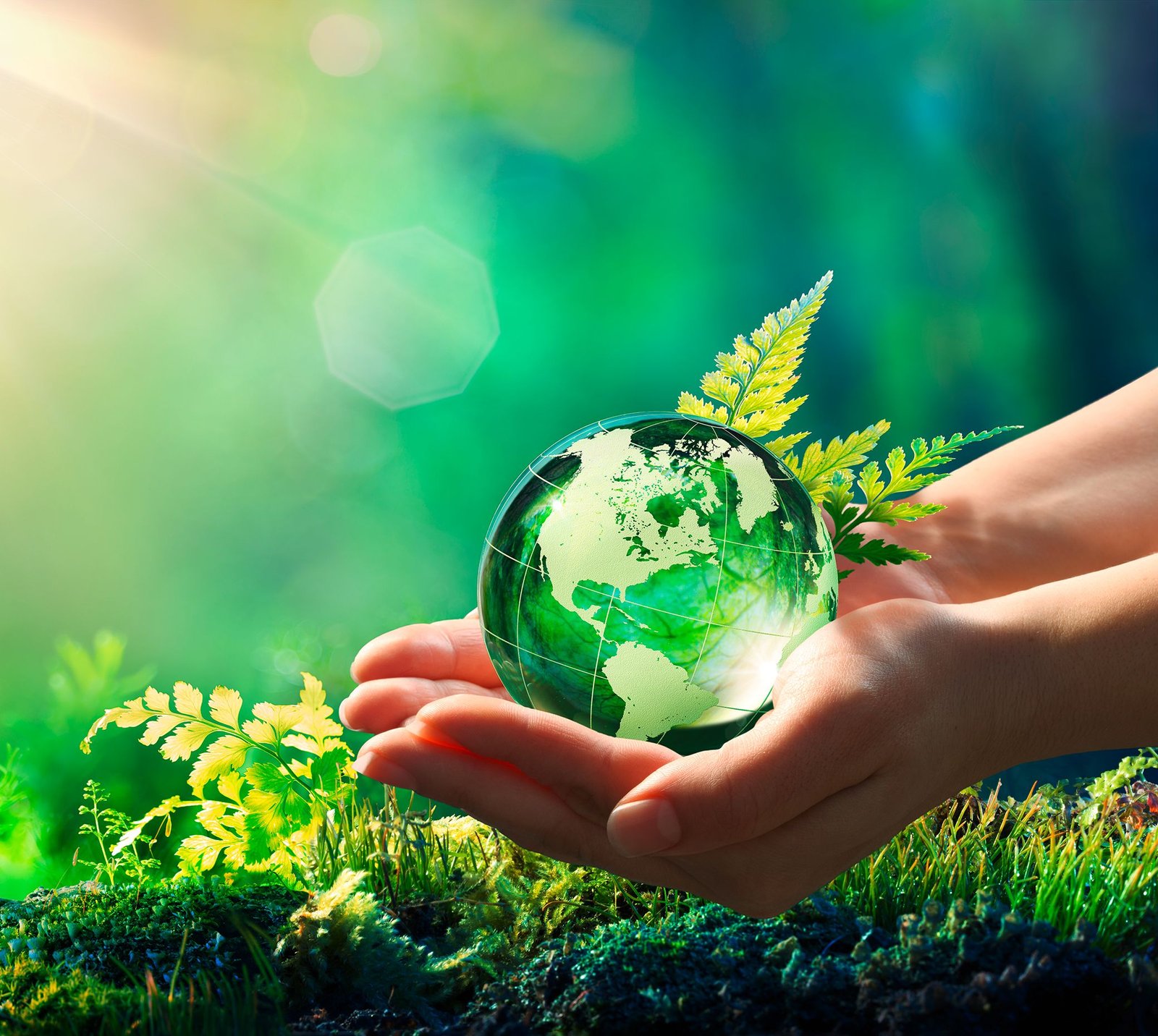 You are currently viewing Where To Find The Best Electronic Scrap Buyers In Pune?